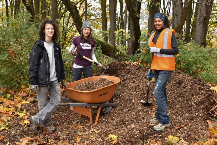 Green Seattle Partnership Forest Restoration – Lincoln Park