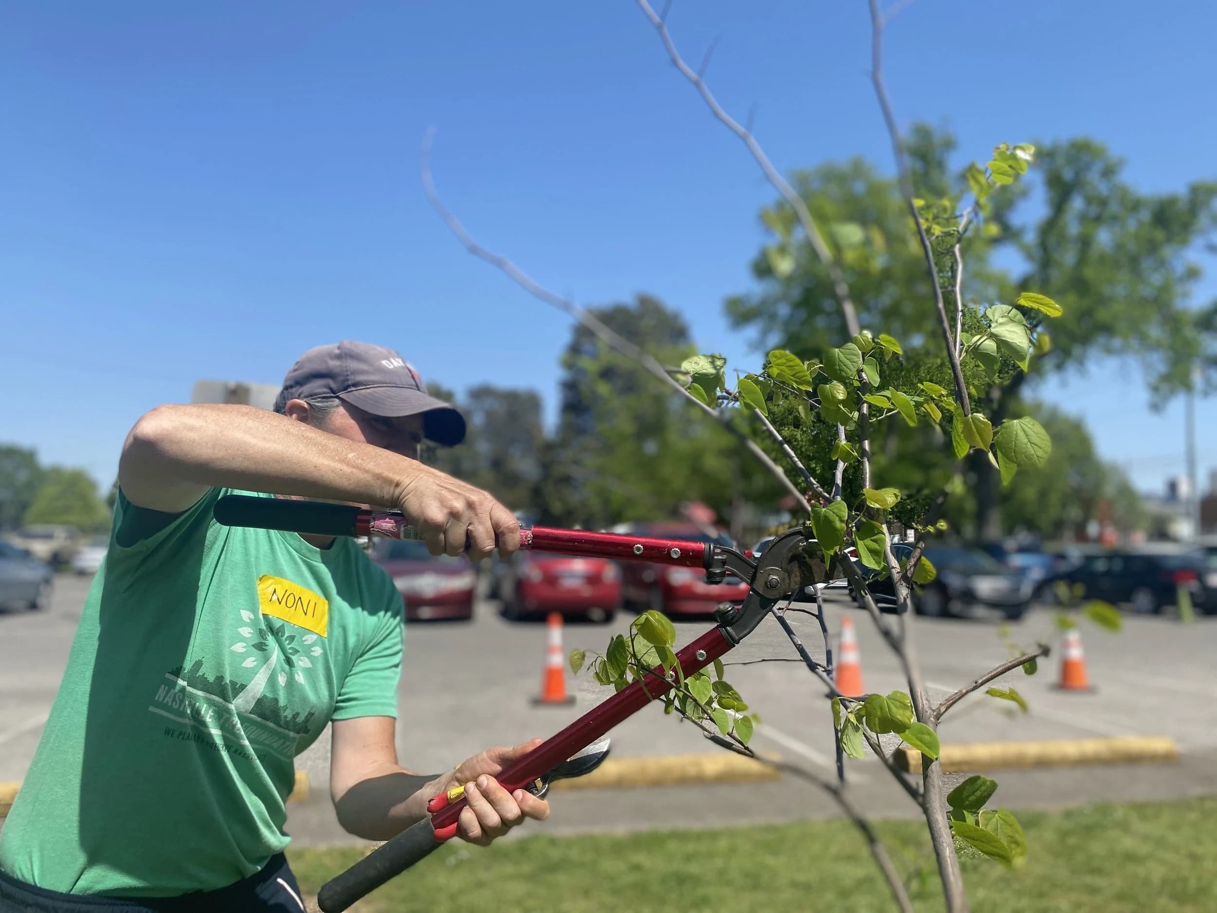Nashville Tree Foundation Urban Canopy Planting