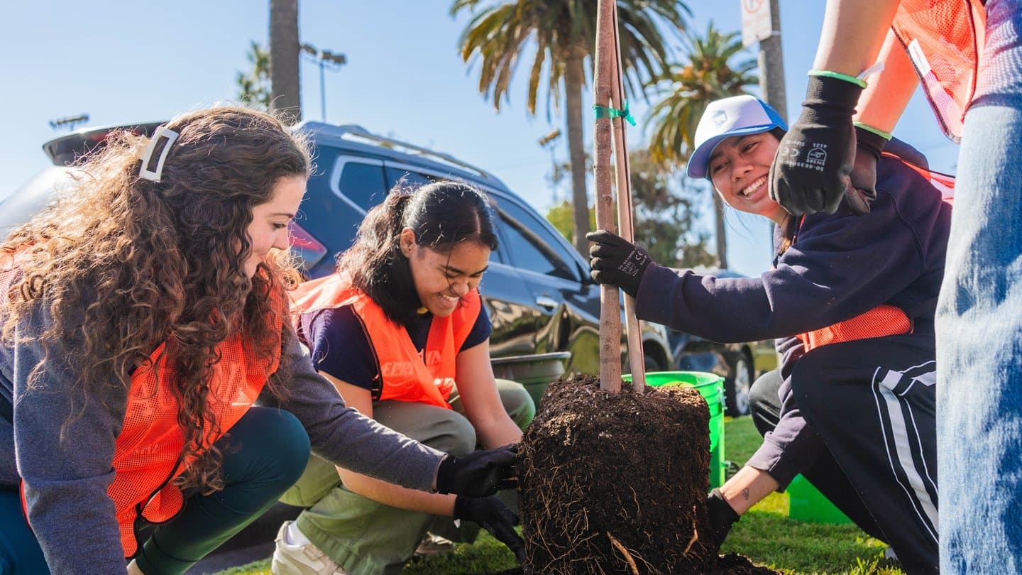 TreePeople Native Plant Care Day – Coldwater Canyon Park
