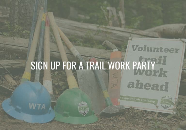 WTA Trail Work Party – Tiger Mountain State Forest