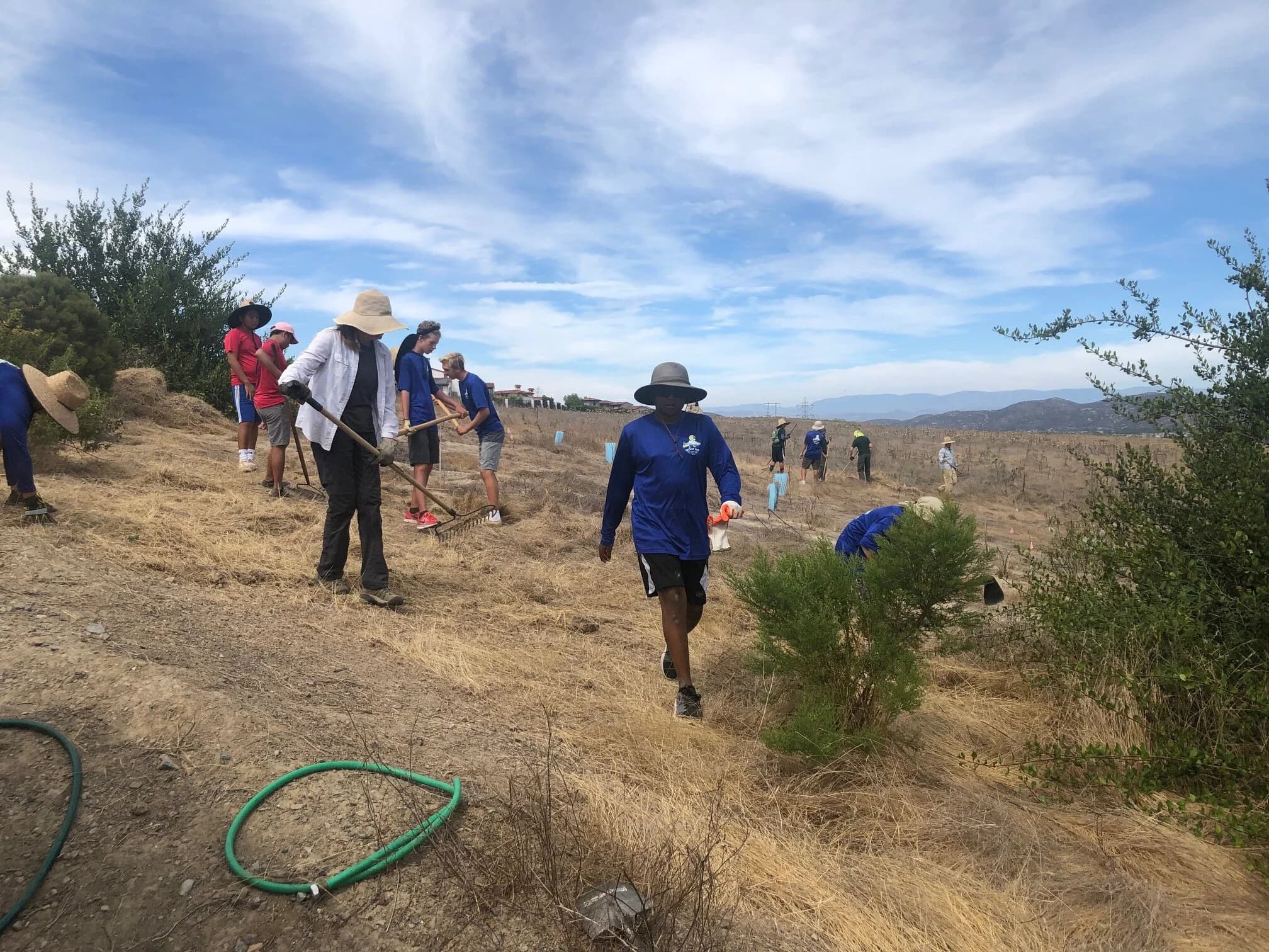 ReWild San Diego Invasive Plant Removal – Peñasquitos Canyon